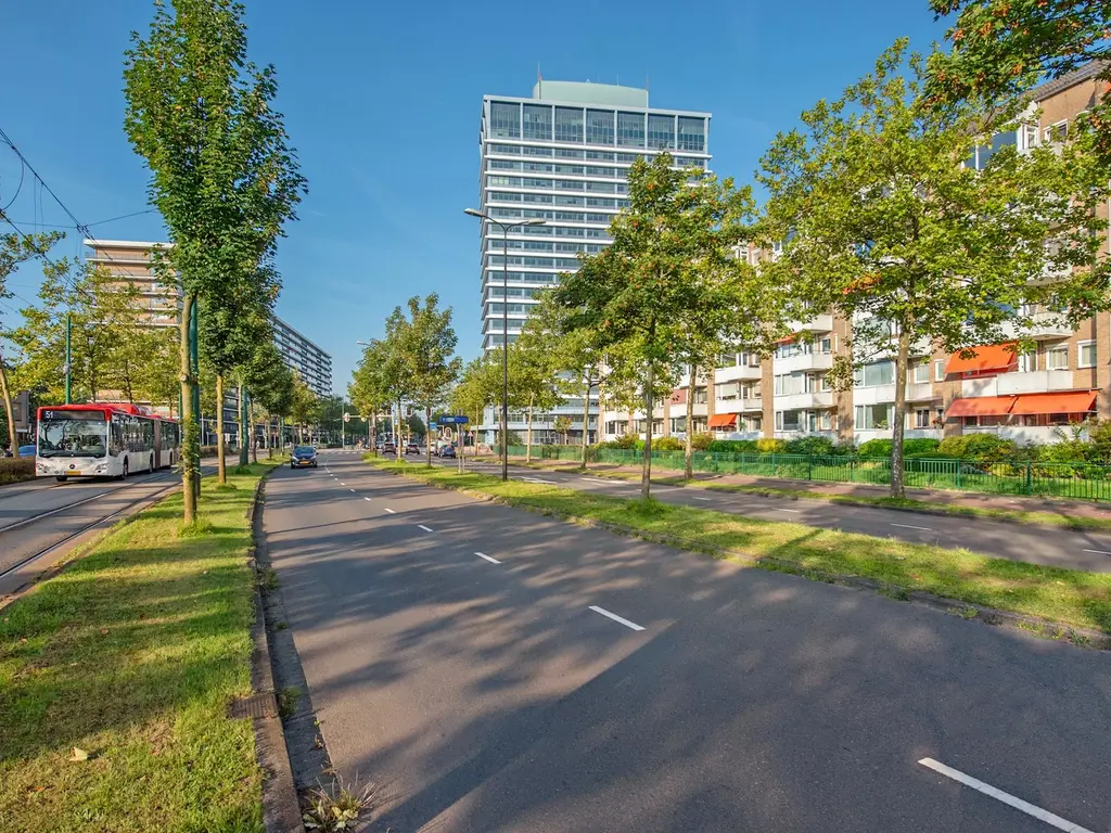 Buziaulaan 65, RIJSWIJK