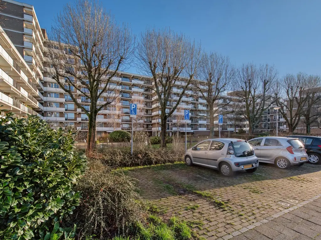 Hammarskjoldlaan 511, RIJSWIJK