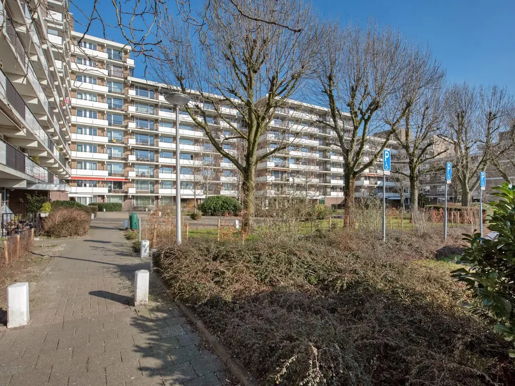 Hammarskjoldlaan 507, RIJSWIJK