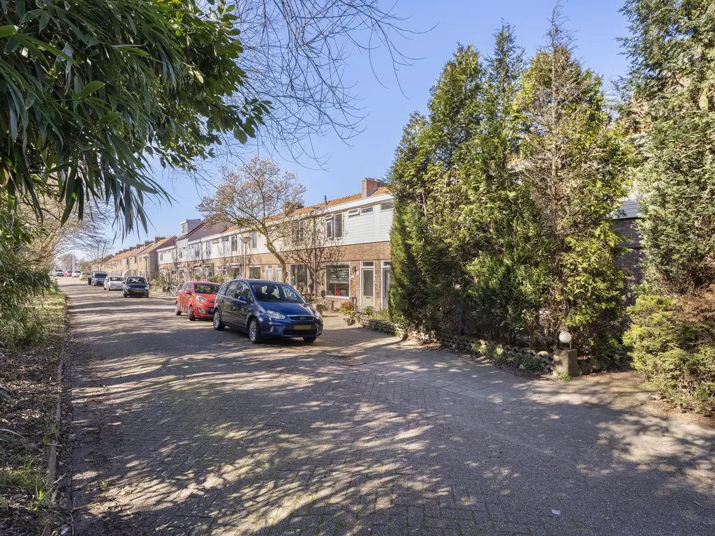 Brasserskade 213, DELFT