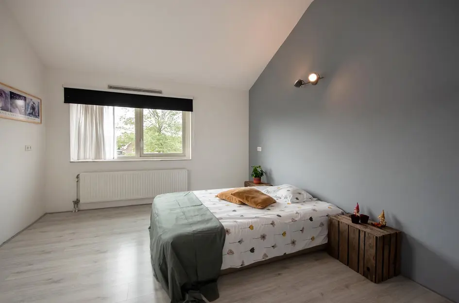 Pluimzegge 52