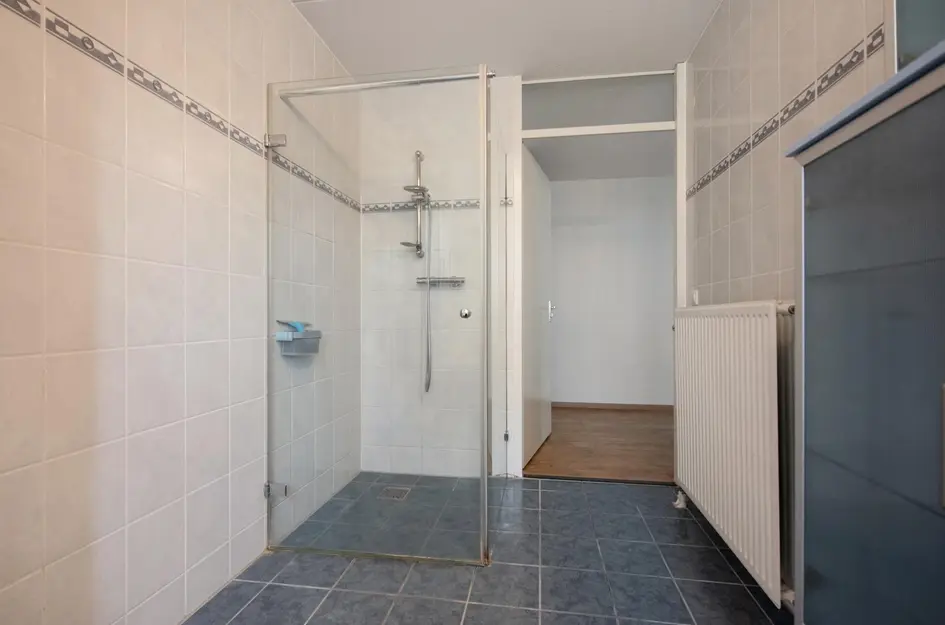 Pluimzegge 52