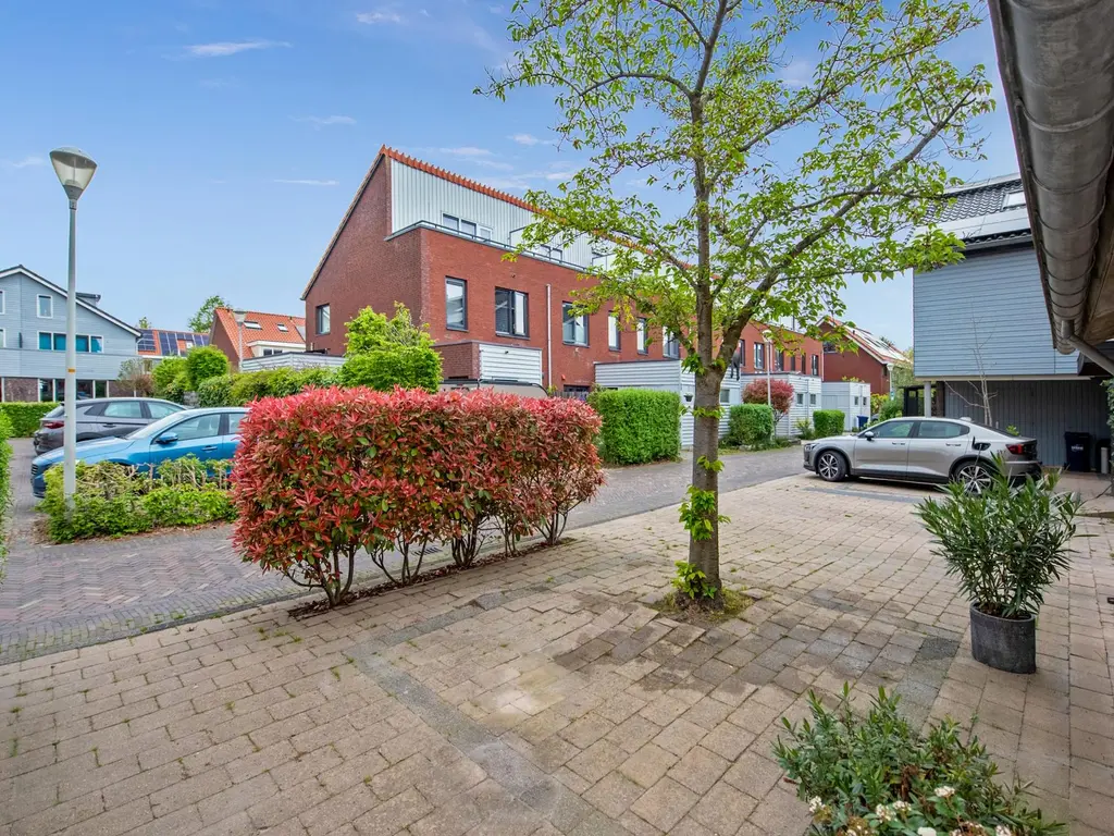 Pluimzegge 52, 'S-GRAVENHAGE