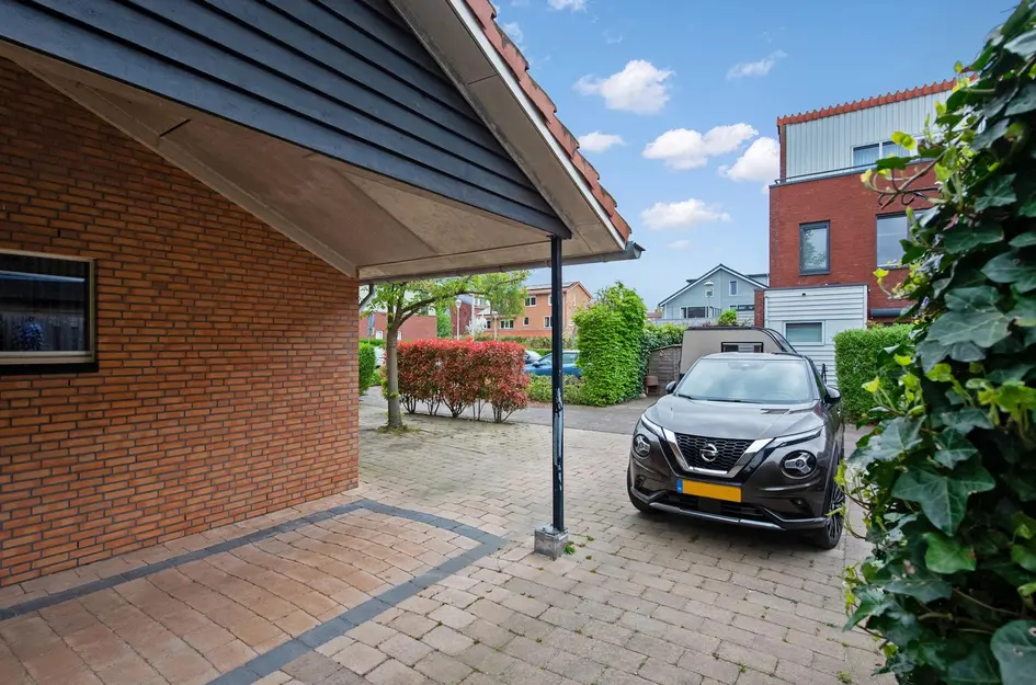 Pluimzegge 52