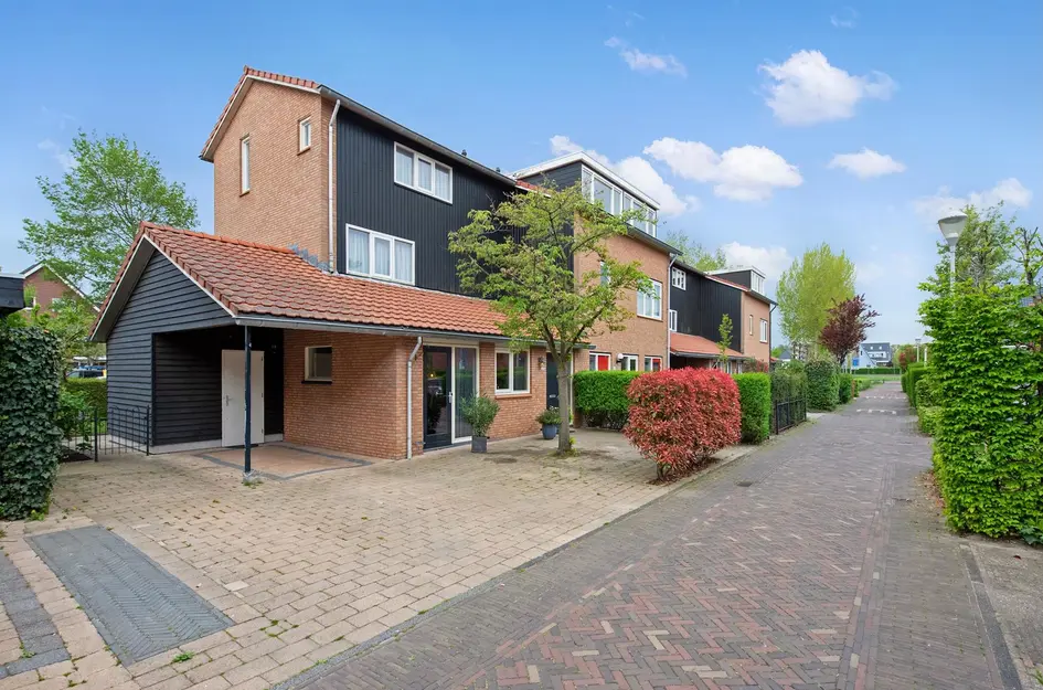 Pluimzegge 52