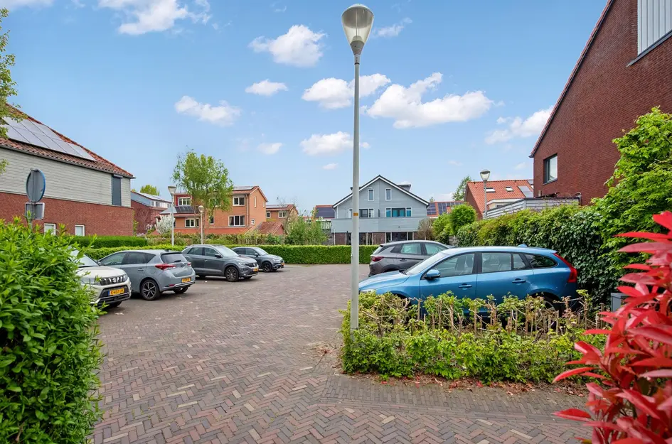 Pluimzegge 52