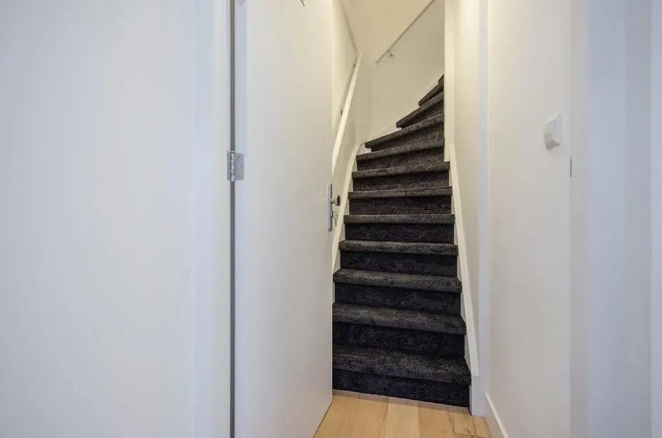 Linnaeusstraat 3