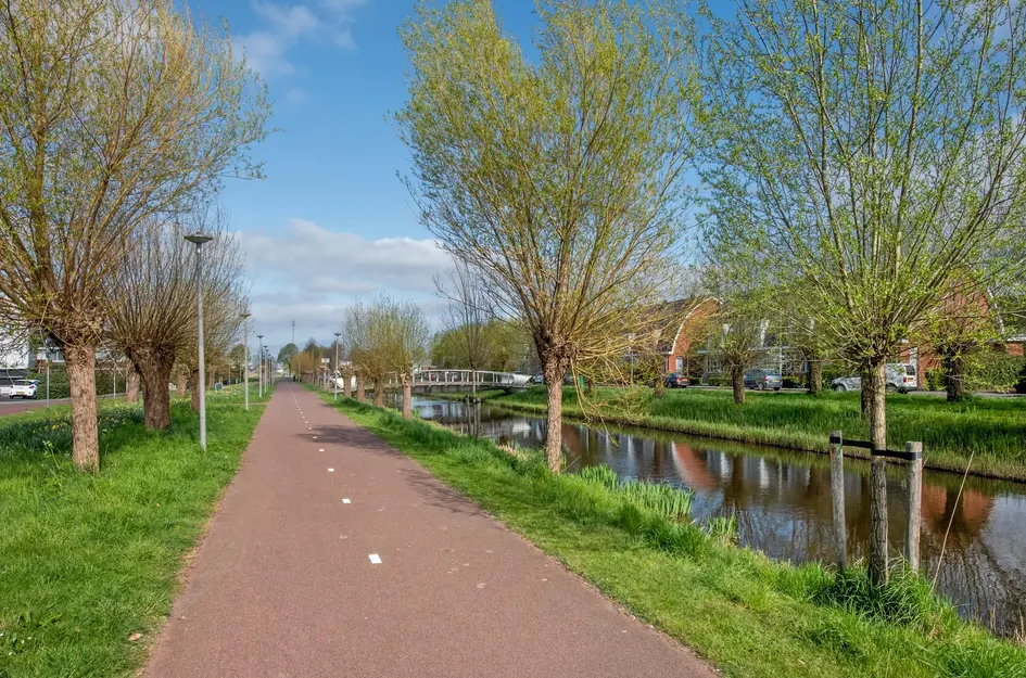 Frank van Hulsentoplaan 41