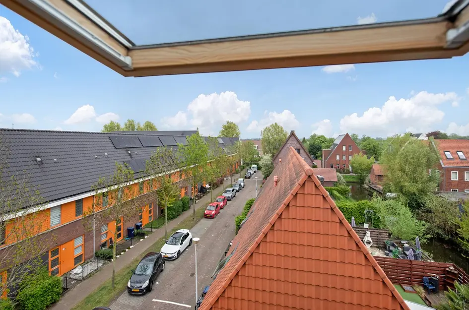 Ribbelzegge 3