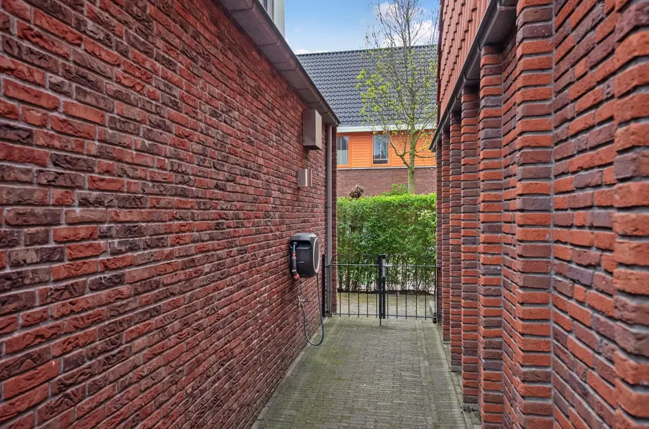 Ribbelzegge 3