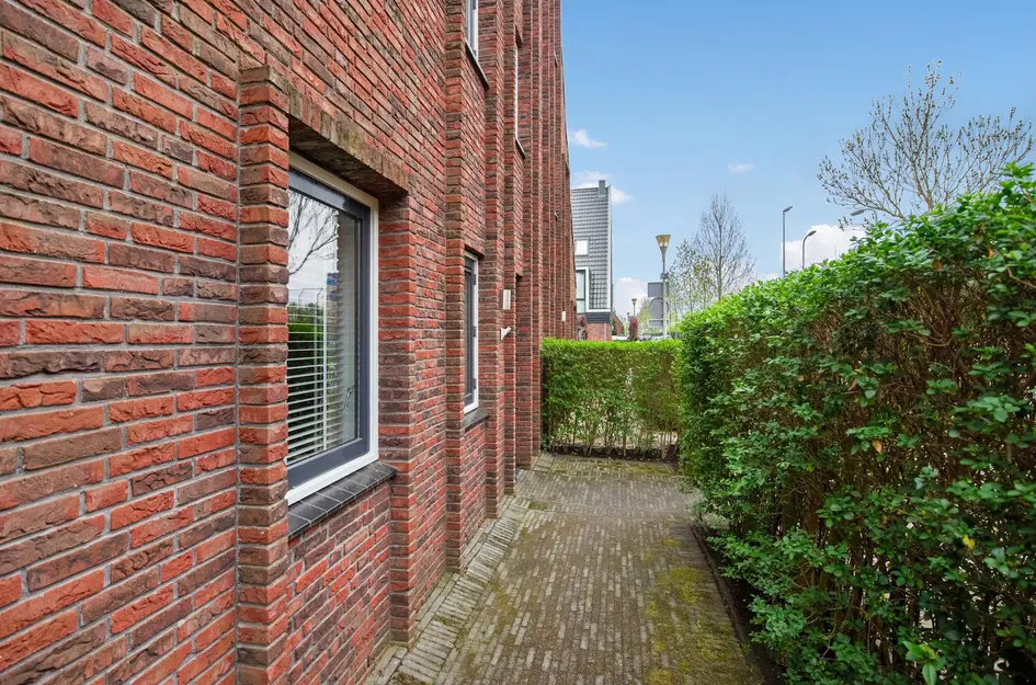 Ribbelzegge 3
