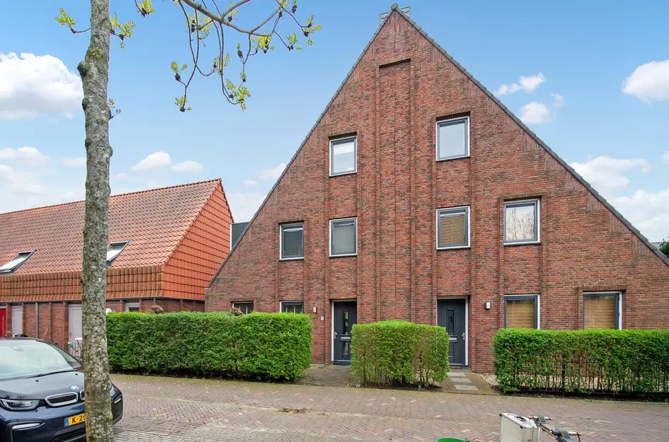 Ribbelzegge 3