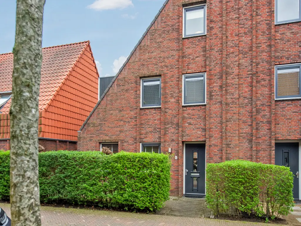Ribbelzegge 3, 'S-GRAVENHAGE