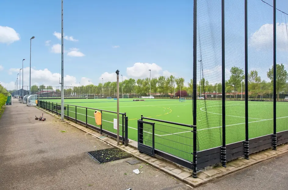 Ribbelzegge 3