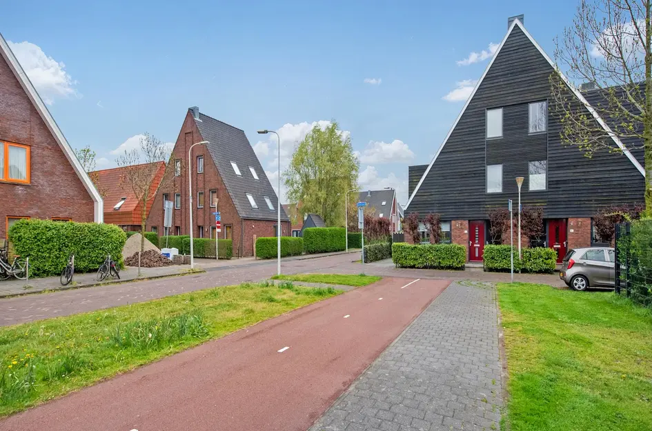 Ribbelzegge 3