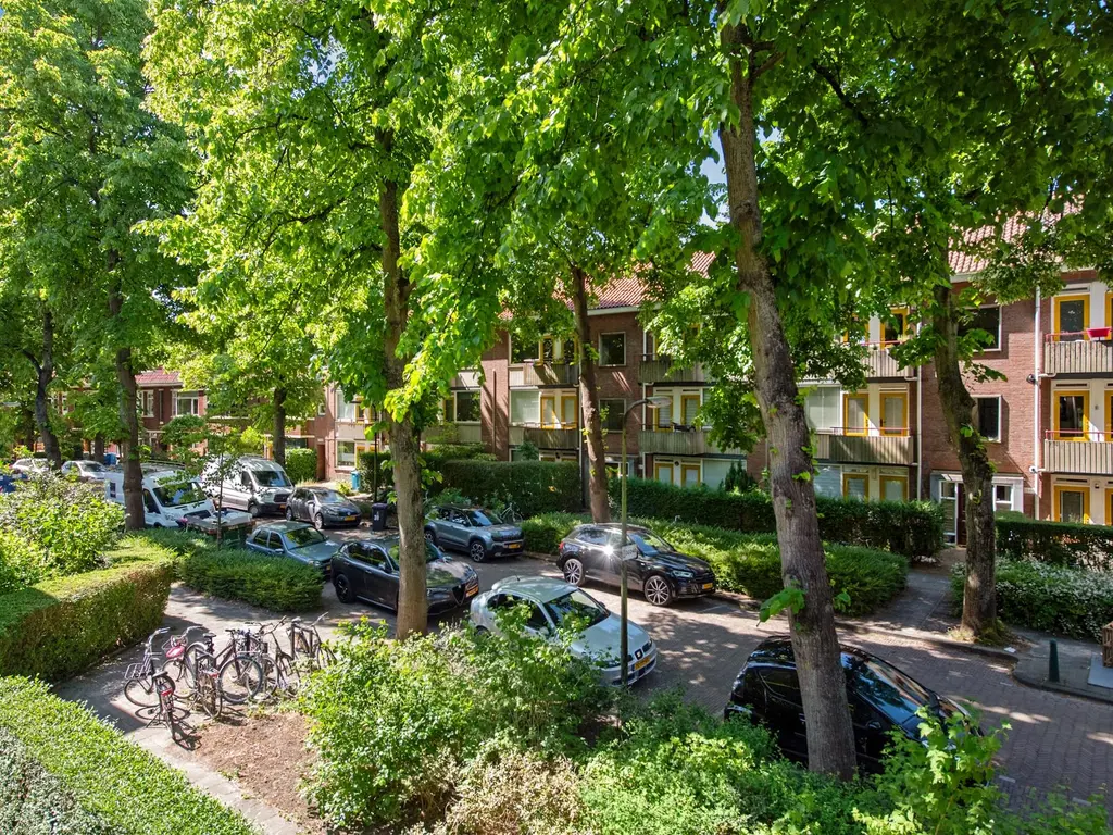 Paulus Potterlaan 48, RIJSWIJK