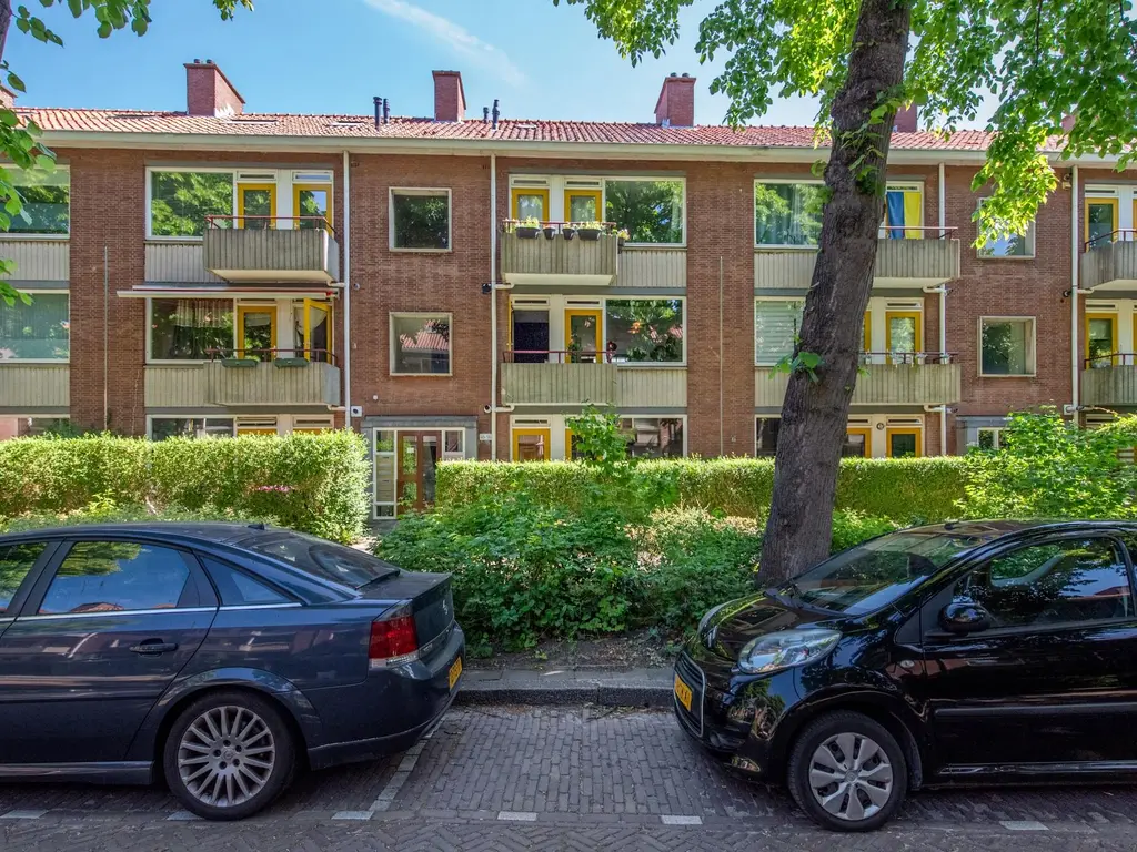 Paulus Potterlaan 48, RIJSWIJK