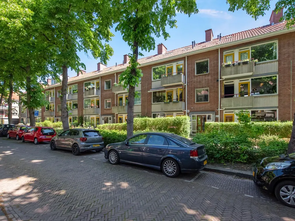 Paulus Potterlaan 48, RIJSWIJK