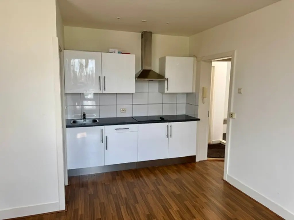 Leeuwendaallaan 15, RIJSWIJK