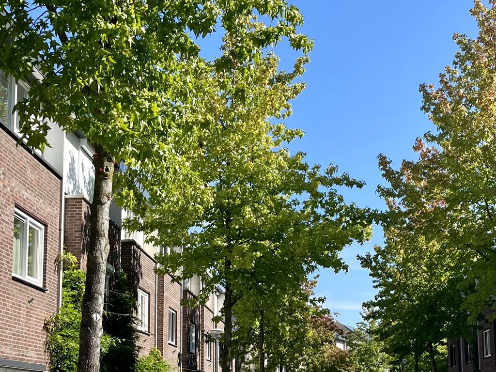 Engeliena Schaapstraat 20, VENLO