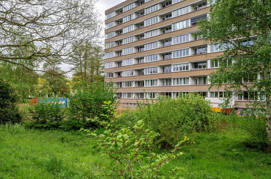 Rijnbeekstraat 61