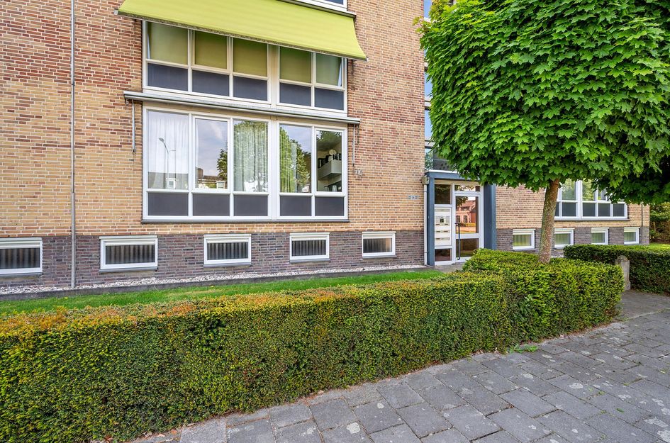 Laaghuissingel 223