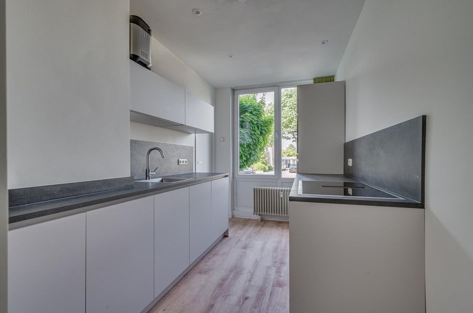 Laaghuissingel 223