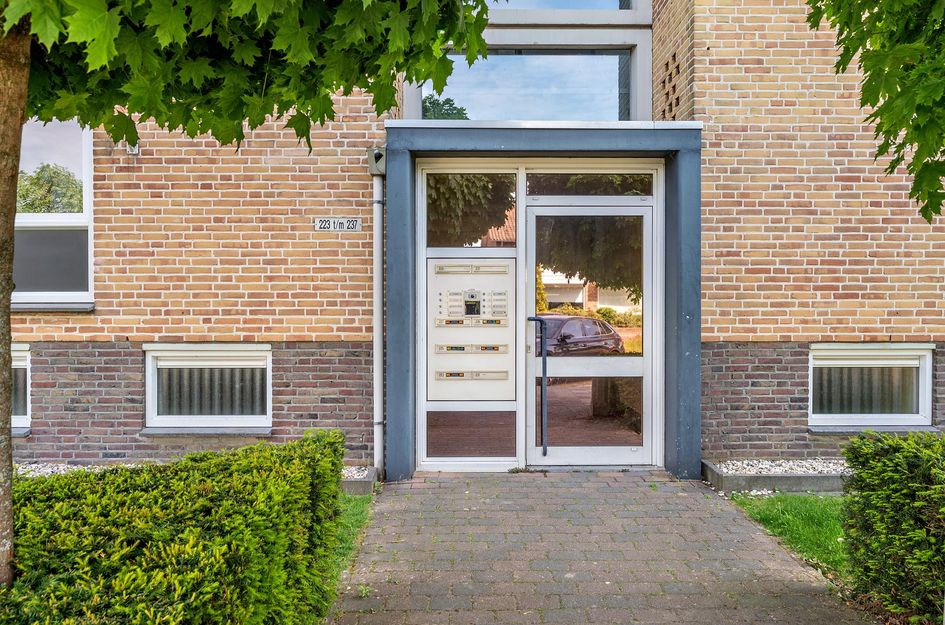 Laaghuissingel 223