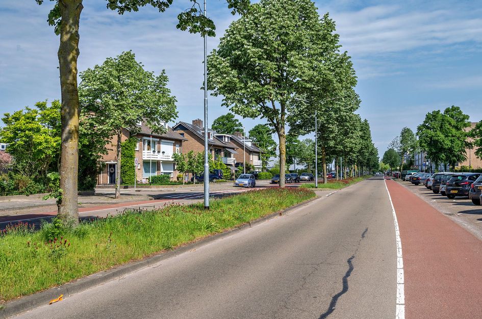 Laaghuissingel 223
