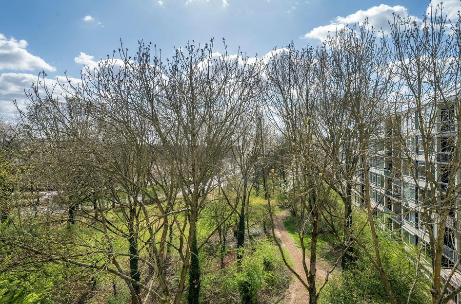Rijnbeekstraat 406