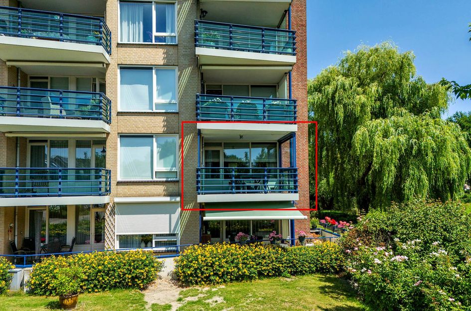 Veldzuring 21