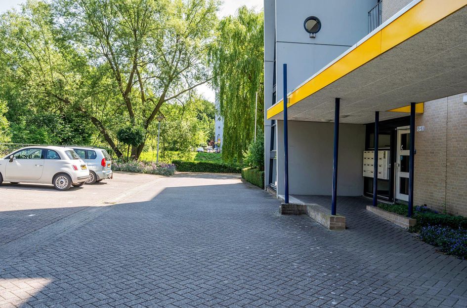 Veldzuring 21