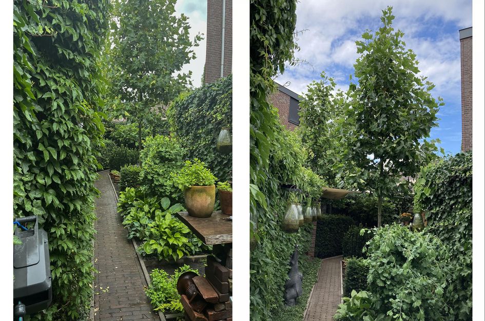 Engeliena Schaapstraat 20