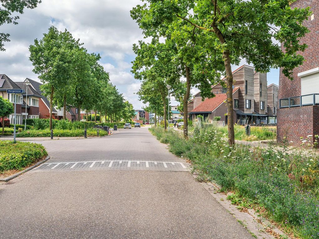 Watermunt 144, TEGELEN