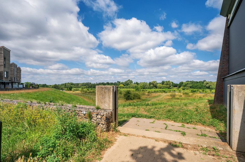 Watermunt 144