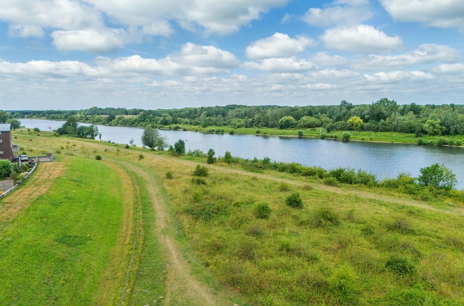 Watermunt 144