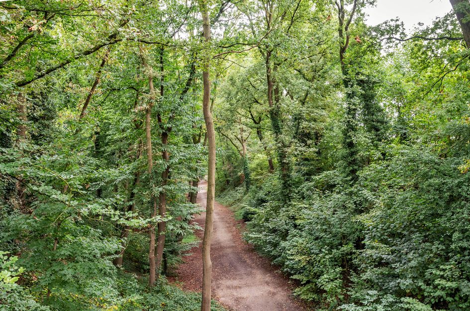 Hertenkamp 74