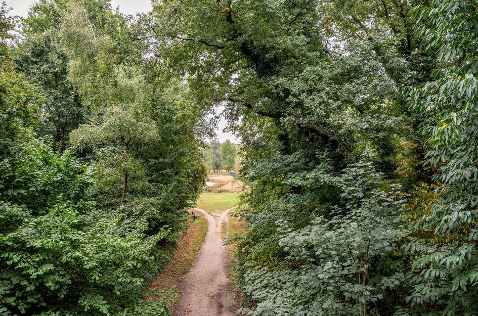 Hertenkamp 74