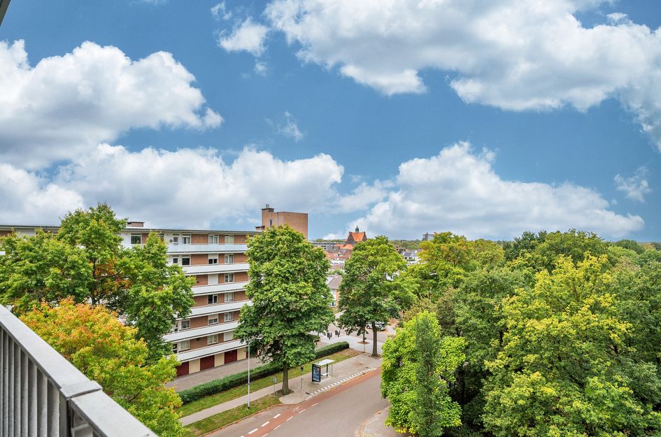 Jan Vermeerstraat 393