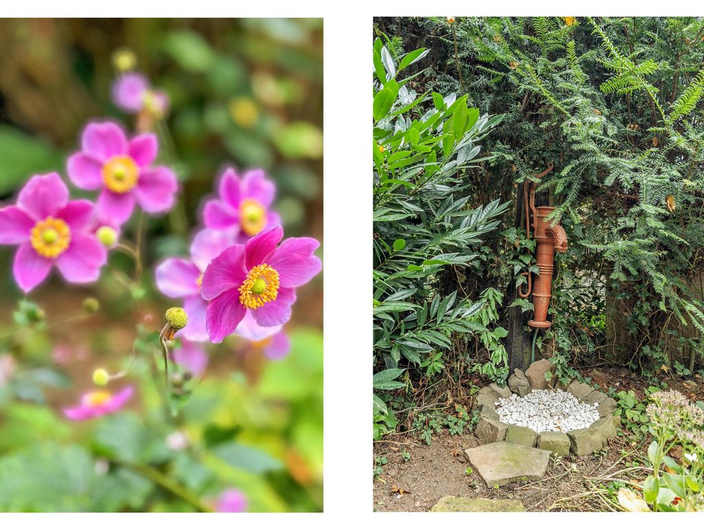 Rijksweg Noord 19, BELFELD