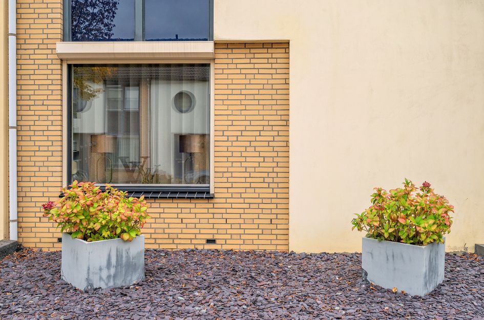 Kuifduikerstraat 23