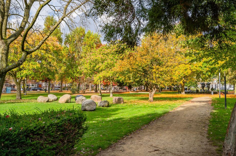 Deken van Oppensingel 81