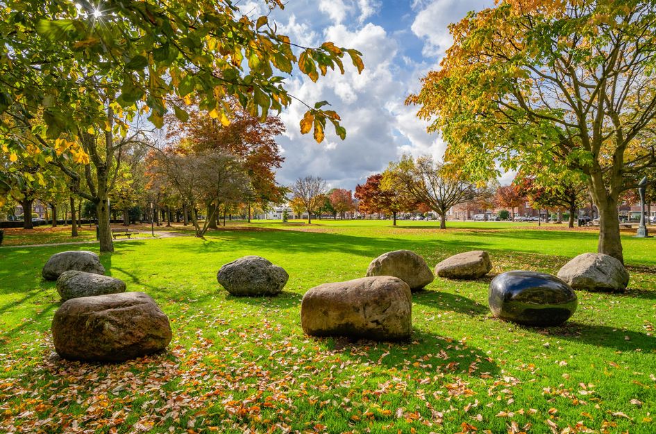 Deken van Oppensingel 81