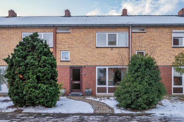 Flamingostraat 14 - VENLO