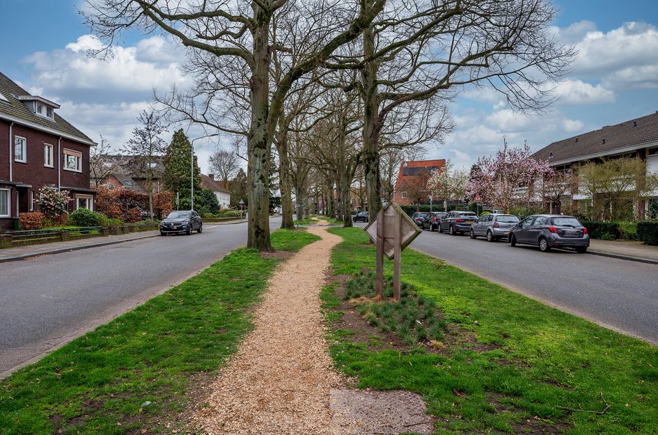 Hertog Reinoudsingel 99