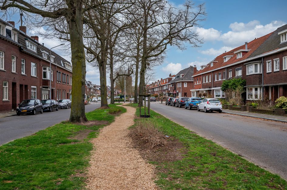 Hertog Reinoudsingel 99