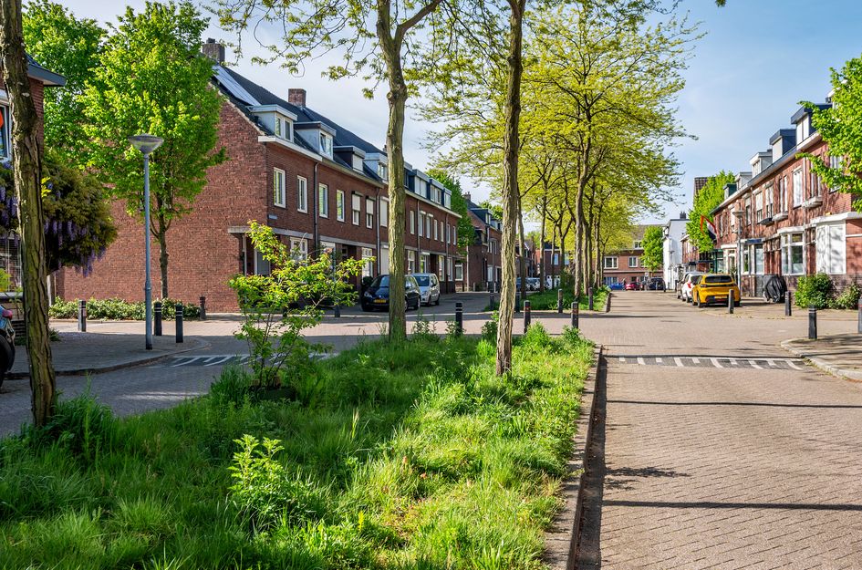 Manresastraat 35