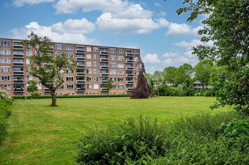 Albert Cuypstraat 74