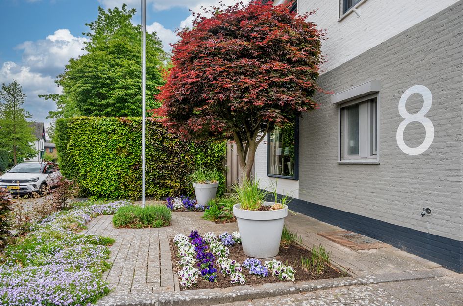 Boerhaavestraat 8
