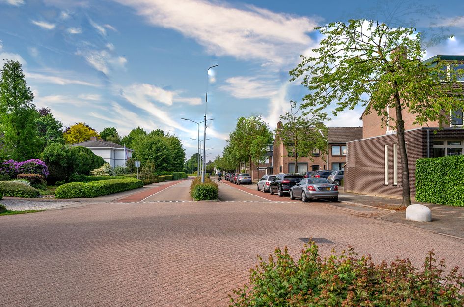 Paardebloem 1